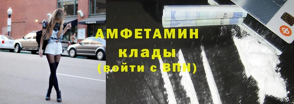прущие грибы Касимов