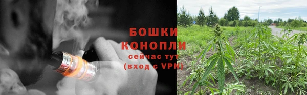 PSILOCYBIN Козловка