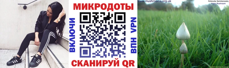 Галлюциногенные грибы MAGIC MUSHROOMS  как найти наркотики  Красный Сулин 